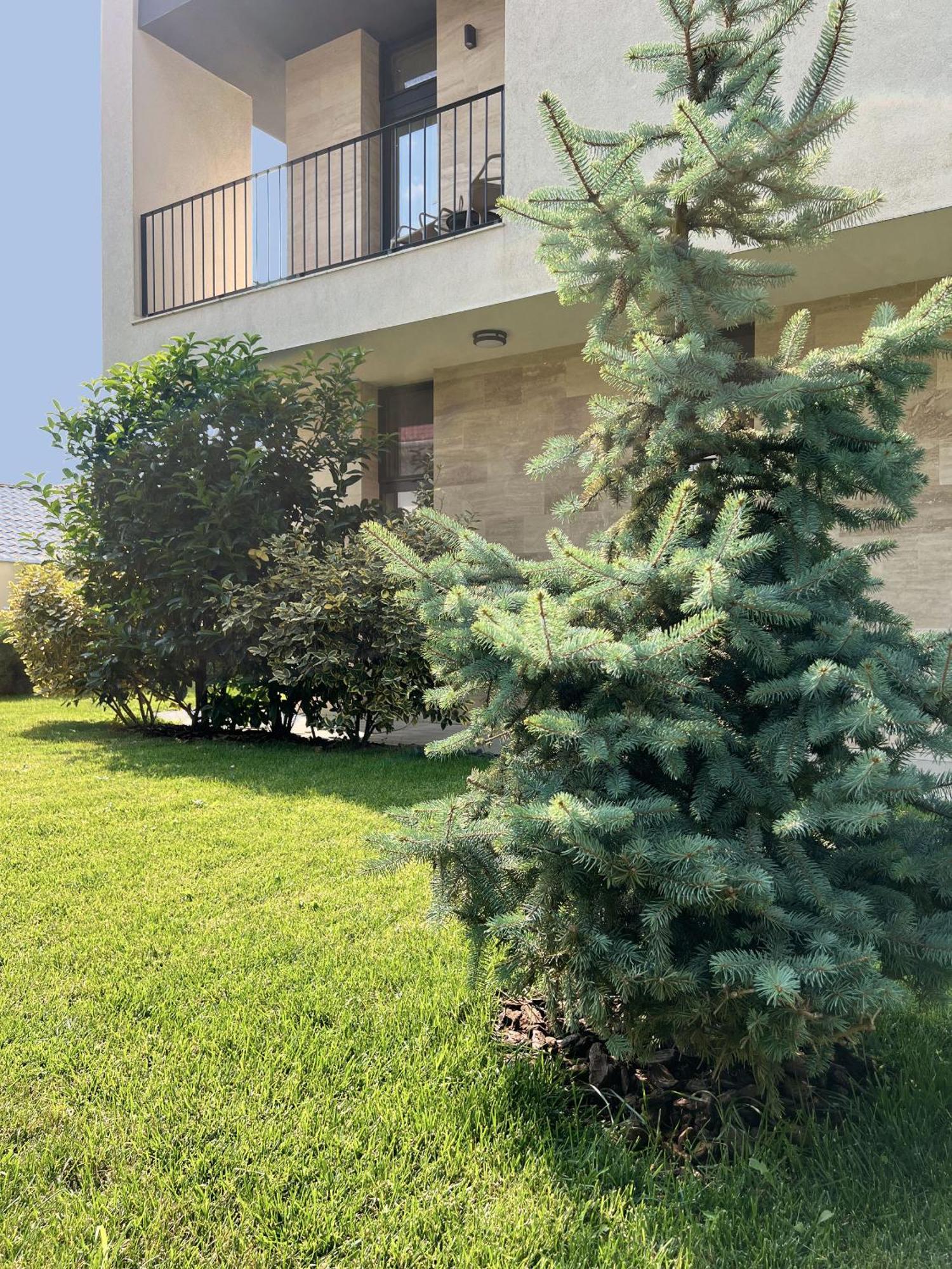 Vila Ducu - Adults Only Navodari Exterior photo